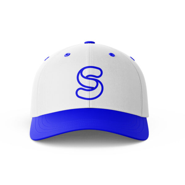 stylish s logo