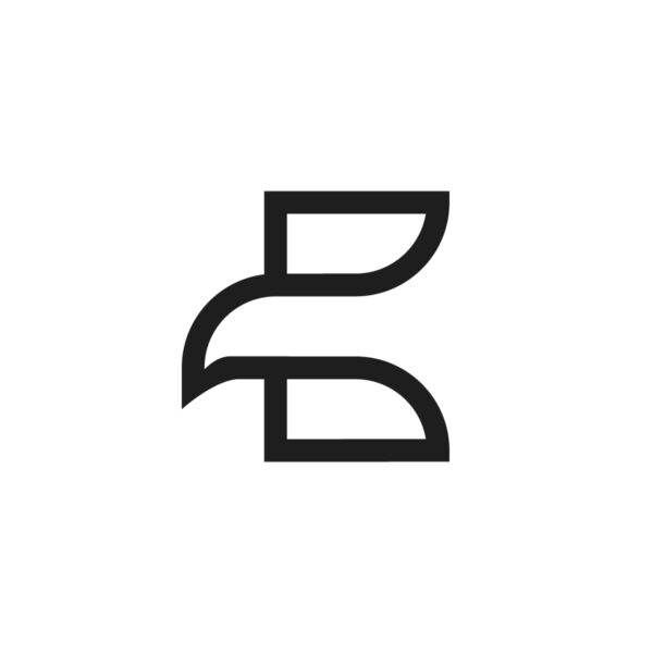 letter e eagle logo